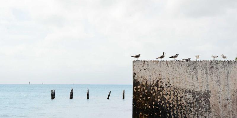 为什么选择博恩商贸作为长期贸易服务伙伴？五大核心优势解析