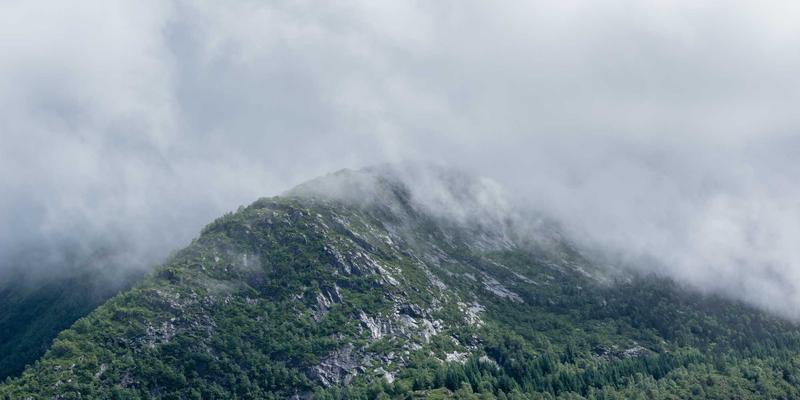 优化供应链管理，加速全球采购：博恩商贸专业单证服务如何提升国际贸易通关效率
