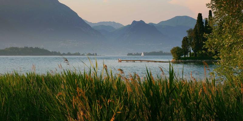 博恩商贸56：专业进出口代理与物流清关一体化解决方案