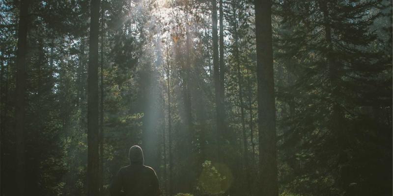 博恩商贸发展:以创新供应链管理驱动国际贸易新格局