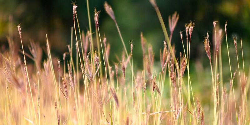 博恩商贸如何通过供应链优化与专业物流清关，实现企业采购成本战略性降低