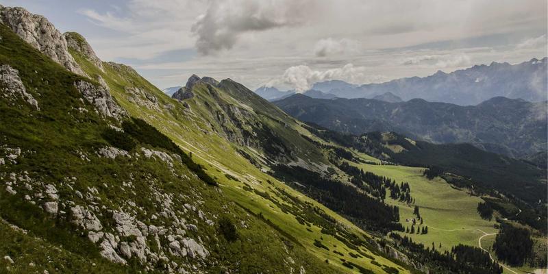 博恩商贸实战教程：掌握供应链管理与全球采购的核心竞争力