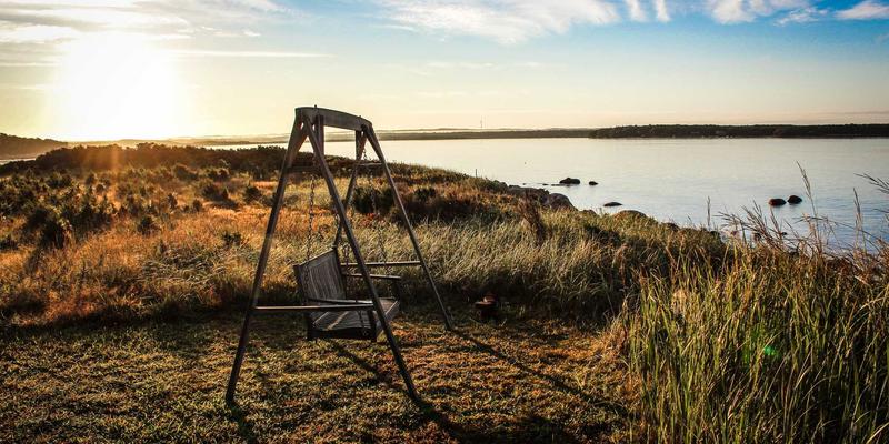 博恩商贸攻略：解锁高效进出口代理与全球采购的制胜之道