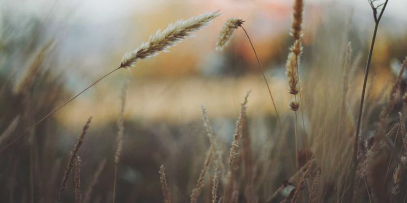 博恩商贸深度解析：医疗器械全球采购中的法规差异与合规性管理实践