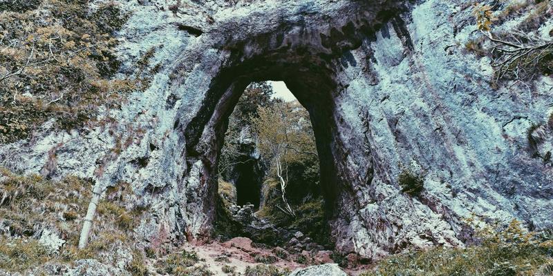 后疫情时代，博恩商贸如何以敏捷供应链管理应对地缘政治与市场波动