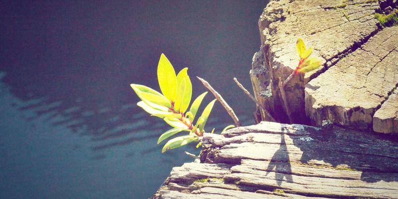 揭秘博恩商贸的品控体系：全球采购与贸易服务背后的全链路质量管理